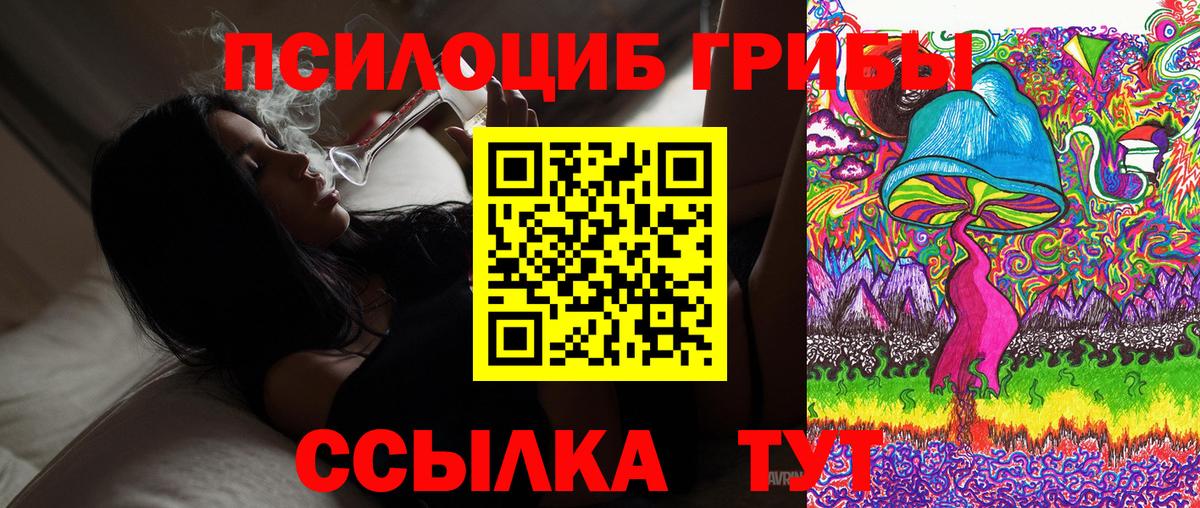 Псилоцибиновые грибы Psilocybe Куйбышев