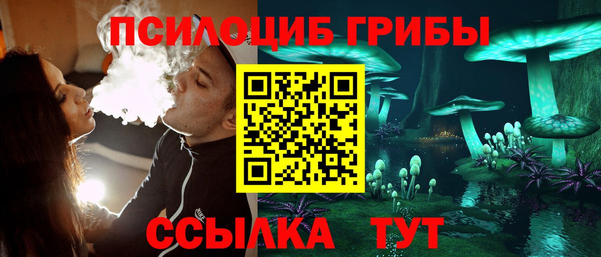Галлюциногенные грибы ЛСД  Вход с VPN  сколько стоит  Галлюциногенные грибы Psilocybe  Куйбышев 